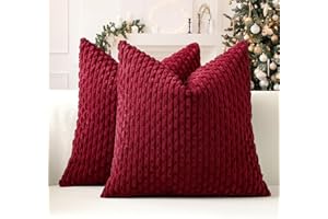 Sungeek 2er Set Kordsamt Kissenbezüge, Dekorativ Zierkissenbezüge Weich Kissenbezug Dekokissen Sofakissen Boho Deko Bezug Kissenhülle für Sofa Schlafzimmer Wohnzimmer (Weinrot, 40x40 cm)