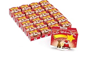 ‎BULL & BEAR Bull & Bear 25er Set Mini Pflanzset 'Frohe Weihnachten' mit Samen für Stern des Orients im Topf 4,5cm, Chrysantheme Anzuchtset mit Pflegeanleitung