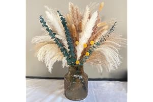 ‎APOMKJOE Pampasgras Getrocknet 76 PCS Natürliche Trockenblumen Deko DIY Trockene Blüten Strauß,Pampasgras Schilfblume Deko für Hochzeit Heim Boho Herbst Deko