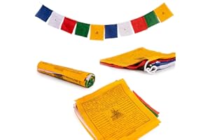 HIMALAYAN BAZAAR Bandiere tibetane di preghiera in cotone, decorazione per esterni, 18,8 x 18,8 cm, realizzata a mano in Nepal, bandiera mista con divinità [10 bandiere]