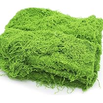200g Muschio Stabilizzato, Muschio Finto per Decorazioni, 100g Verde Scuro e 100g Verde Chiaro Muschio Artificiale, Muschio Sintetico per Mestiere Modellismo Terrario Casa Decori Natale Pasqua Nozze