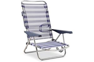 Solenny Chaise de Plage Lit Pliable 4 Positions Bleu et Blanc Dossier Bas avec Accoudoirs 81x62x86 cm