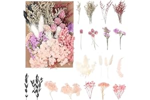 jatimdotin Fiori Secchi Naturali, Fiori Secchi Decorativi, Fiori Secchi Artigianato per Scrapbooking Candele Resina Carta Nozze Decorazione (Rosa)