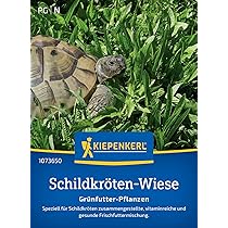 Schildkröten Wasserschüssel Mit Rampe - Ausbruchsicherer Badebecken Für Reptilien