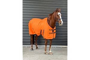 Turner Equestrian 600d Lightweight Waterproof Horse Turnout Rug 100g Fill Standard Neck (5'3")