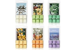 FUND AMLIGHT Scented Wax Melts, Soy Wax Cubes for Wax Warmer, Wax Melts Wax Cubes, Christmas Wax Melts Gift for Women, 6 x2.5oz（6 x 70g