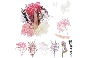 DATEFUN Trockenblumen zum Basteln - Echte Getrocknete Gepresste Blumen - Natürliche Blumen Deko für DIY-Kerzenharzschmuck, Nagelanhänger, Bilderrahmen
