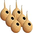 BirdShala Organic Large Round Bird Nest Set Of Six, Purely Made By Bird Building Technique Bird House (Hanging, Wall Mounting, Tree Mounting)