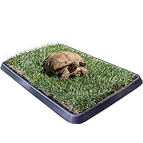 Mix Semi Per Tartarughe Di Terra ZOMA - 6 Erbe Con Tarassaco, Busta 15gr - Foto 2