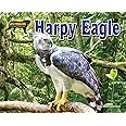 Harpy Eagle (Apex Predators of the Amazon Rain Forest)
