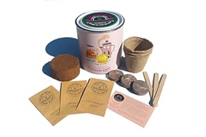 THE PLANT GIFT COMPANY Herbal Tea Luxury Grow Kit, The Plant Gift Co. Homemade Brew, Gardening Gift; Peppermint, Chamomile & Feverfew.