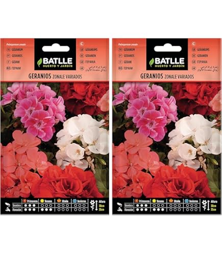 Graines De Géranium Border Supreme F2 Hybrid - Pelargonium Le Sachet De 15 Graines 67acd03cd65037b607600e96