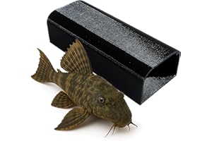 Forest Aquatics Pleco Cave – Breeding Shelter for Plecos, Shrimp & Crayfish – 3 x 4.5 x 11cm (Black)