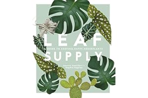 Leaf Supply: A guide to keeping happy house plants