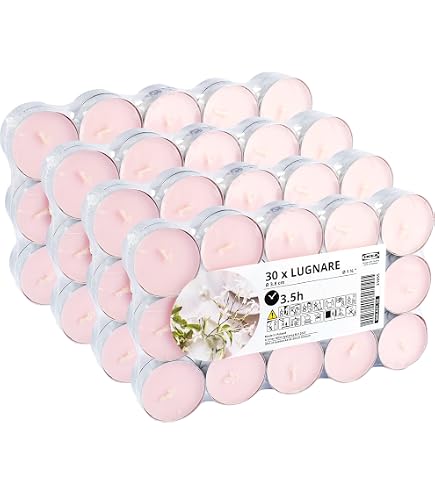 Fiore Di Pisello Dolce E Rugiada Immagine Stock - Immagine di chiusura