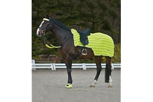 Equipride REFLEX HIND EXERCISE SHEET HI VIZ QUARTER SHEET SADDLE GAP FULL/COB