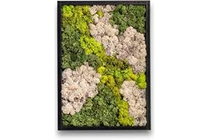 comforder Rechteckiges Wandbild mit echtem Moos (38 cm), Konserviertes Moosbild mit Holzrahmen, Natur Wanddeko fürs Wohnzimmer