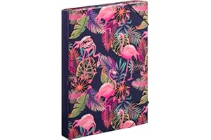 ‎BAAGL Baagl Heftbox für Schulranzen - Heftmappe A4 für Kinder mit Gummiband und Innenklappen - Sammelmappe, Sammelbox mit Gummizug für Jungen (Flamingo)