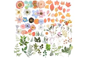 FLOFIA 160pz Adesivi Scrapbooking Diario Stickers Adesivi Decorativi per Album Regalo Biglietti d’Auguri Calendari Adesivi Piante Fiore Foglie Autunnali per Scrapbooking Fai da Te Hobby Creativi