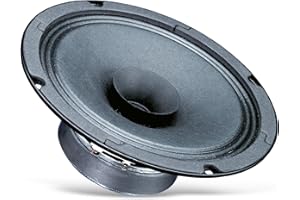 VISATON GMBH & CO. KG Visaton VS-BG17 – Lautsprecher (schwarz, TV/Monitor-Lautsprecher, 80 – 20000 Hz, 165 x 165 x 61,5 mm, MB 156/3)