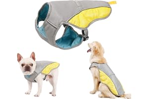 Tineer Mascotas de refrigeración del Chaleco, Chaleco Reflectante Chaleco para Perros más frío de Verano para Perros Grandes Pequeño Mediano Caminar, Subir, Deportes (L)