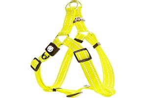 DDOXX Szelki dla psa, nylonowe, step-in, odblaskowe, regulowane, odporne na pękanie, dla małych i dużych psów, dla małych i dużych psów, dla psów, kotów, szczeniaków, pomarańczowe, XXS