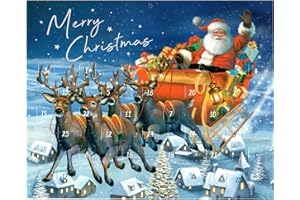 WIDDLE GIFTS LTD Widdle Gifts Paper Christmas Advent Calendar - 24 Windows - Santa Sleigh Design, Multicolour