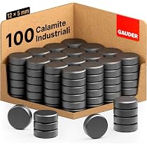 GAUDER Calamite per Lavagna Magnetica (12 x 5 mm) | 100x Calamite ...