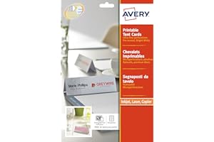 AVERY ZWECKFORM AVERY - Pochette de 20 porte-noms imprimables, En carte blanche 190g/m², Format 210 x 60 mm, Impression laser / jet d'encre, (L4796-20)