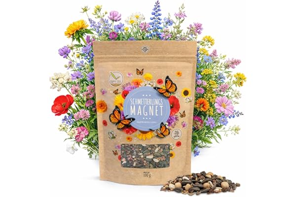 100 g Graines de prairie à papillons pour un pré fleuri coloré - mélange de graines de fleurs sauvages riches en nectar pour les papillons