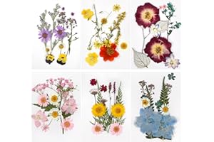 LUZIYUN Naturales Flores Prensadas Secas, 72 Piezas Flores Secas Naturales, Flores Secas Decoracion, Flores Secas Manualidades, Flores Secas Mezcladas, para Resina Scrapbooking, Joyería de Resina Epoxi