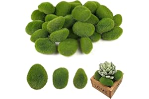 YANGWEN 20 Palline di Muschio Stabilizzato - 2 Misure per Decorazioni Floreali, Giardini Fatati e DIY - Verde Intenso e Naturale