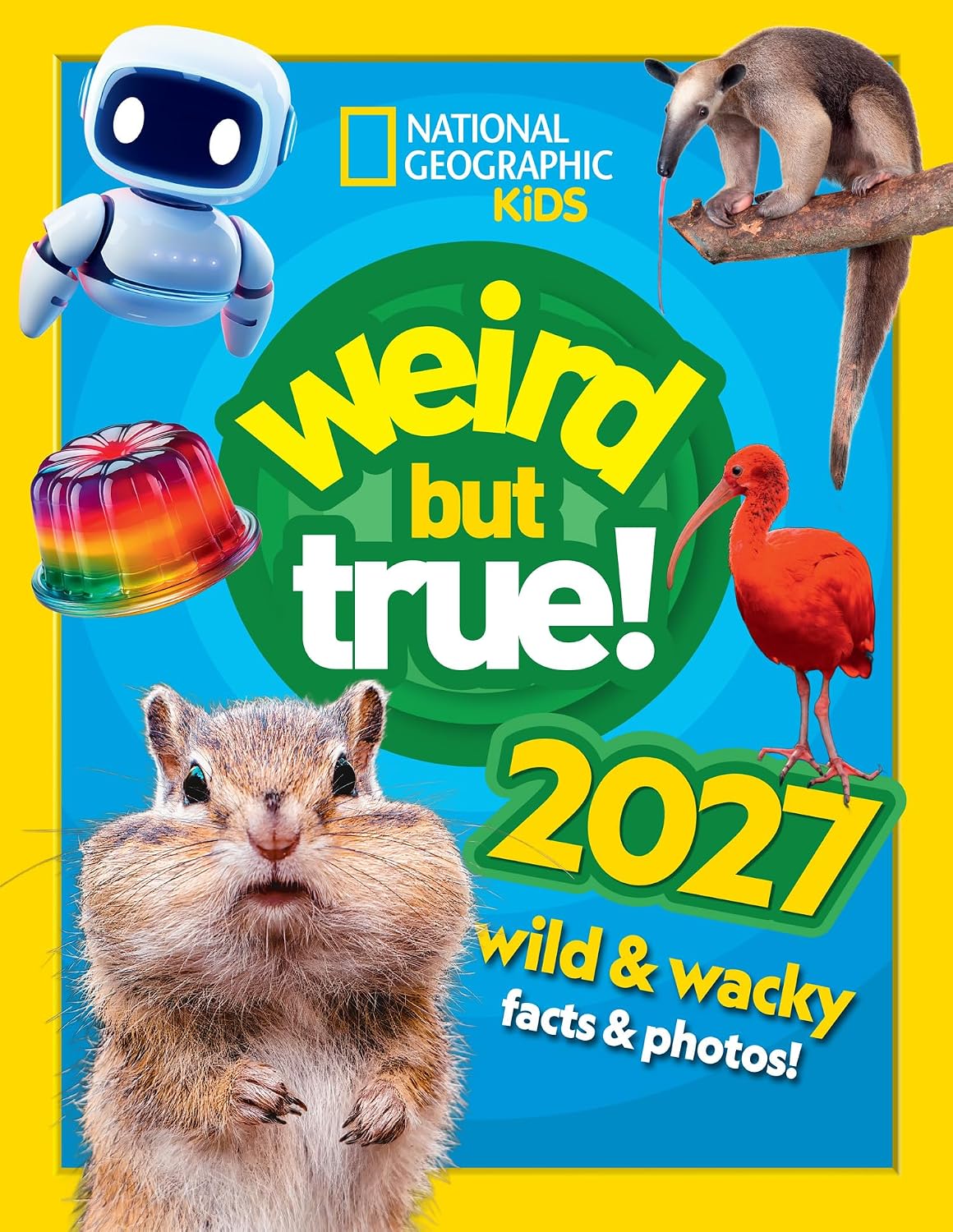 Vue 12