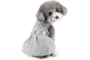 Zunea - Vestito per cani di piccola taglia con gonna in pizzo, elegante per feste di cagnolino da sposa, vestito estivo da principessa, per cani di piccola taglia, taglia S