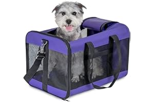 HITSLAM Trasportino Cani