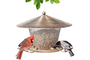 Bird Feeder for Outdoor, Squirrel Proof Weatherproof All Metal Hanging Wild Bird Feeder with 9.8" Roof, 3 LBs Seeds Capacity, Garden Yard Decoration