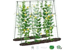 SUNYRISY Gurke Rankhilfe, Rankgitter mit Netz Pflanzenhalter für Gurke, Rankhilfen für Kletterpflanzen, Tomaten Rankhilfe, Pflanzenstütze für Blumen & Nutzpflanzen, 150 cm Lang, Grün