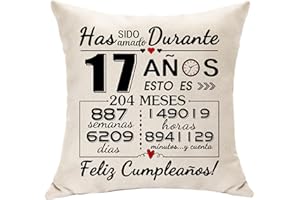 HASODEO Regalos de 17º Cumpleaños para Chicas y Chicos 17 Cumpleaños Decoración Funda de Cojín Regalo para 17 Años Hija Hijo Sobrina Sobrino Primo Amigo Feliz 17º Cumpleaños Regalos Recuerdo 45 X 45 (17)