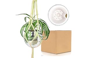 QIUMYANLOD Boule a Facette Pots de Fleurs à Suspendre,Pot de Fleur Suspendu Boule Disco,Cache Pot Boule Disco Avec Corde,Paillettes Argenté Mosaique Miroir Disco Decor Jardinière pour Plafonds et Palcons,6 Pouce