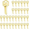 Lesnala 32pcs Blank Keys Bulk, Uncut Blank Keys, Blank Keys for Door Lock Replacement