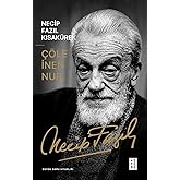&Ccedil;&ouml;le İnen Nur