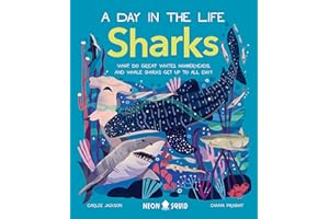 Sharks (A Day in the Life): What Do Great Whites, Hammerheads, and Whale Sharks Get Up To All Day?: 3 (A Day in the Life, 3)