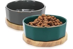 Navaris 2X Ciotole 800ml - per Cane Gatto Animali Domestici - Ciotoline Rialzate in Ceramica con Supporti Legno - Scodella Rialzata Grigio & Verde