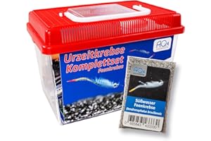 AQ4Aquaristik Feenkrebse Starterset mit Urzeitkrebs Eiern: 2,5 l Aquarium, Zubehör, Zuchtansatz, Futter und Anleitung, Dendrocephalus brasiliensis