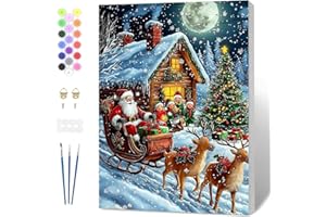 Fumupe Malen Nach Zahlen Weihnachten Erwachsene mit Rahmen, Malen Nach Zahlen Weihnachtsmann, Diy Set Erwachsene Handgemalt Ölgemälde Leinwand Geschenke für Weihnachten Home Deko, 20x30cm