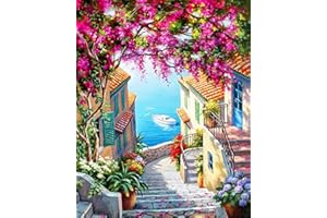 YALKIN Paint by Numbers for Adults Kits, Sea View Painting by Number Kits On Canvas,Without Frame DIY Color Oil Painting Paints,Home Wall Decor 16x20in/40x50cm