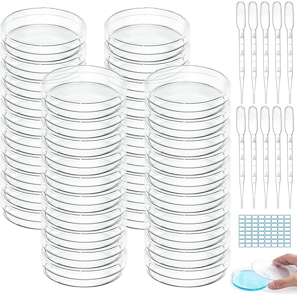 6 Piastre Petri Con Agar Nutriente - Per Esperimenti Scientifici, 90mm, Pre-versate, Per Studenti