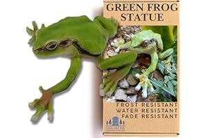 G&H DECOR Figuras Decorativas para Jardín - Adorno de Jardín y Adornos de Baño en Resina - Detalle Realista, Pintado a Mano, Uso Interior y Exterior - Regalo Ideal para Amantes de la Naturaleza