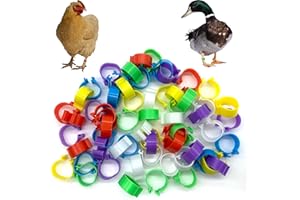 DHER anneau Anneaux de poulet Bague Pour Pied d’Oiseaux Anneau 60pcs 16mm Identification à baïonnette Anneaux de pied de poulet, 6 couleurs Anneaux de pied de poulet, Anneaux de pied de volaille