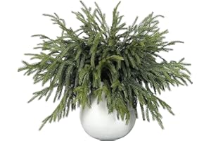 LAELFE 12Pcs Rami di pino norfolk, rami di pino norfolk artificiali fai da te, rami di pino norfolk, per interni ed esterni, decorazione per la casa